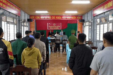 Xét xử lưu động vụ án Hủy hoại rừng